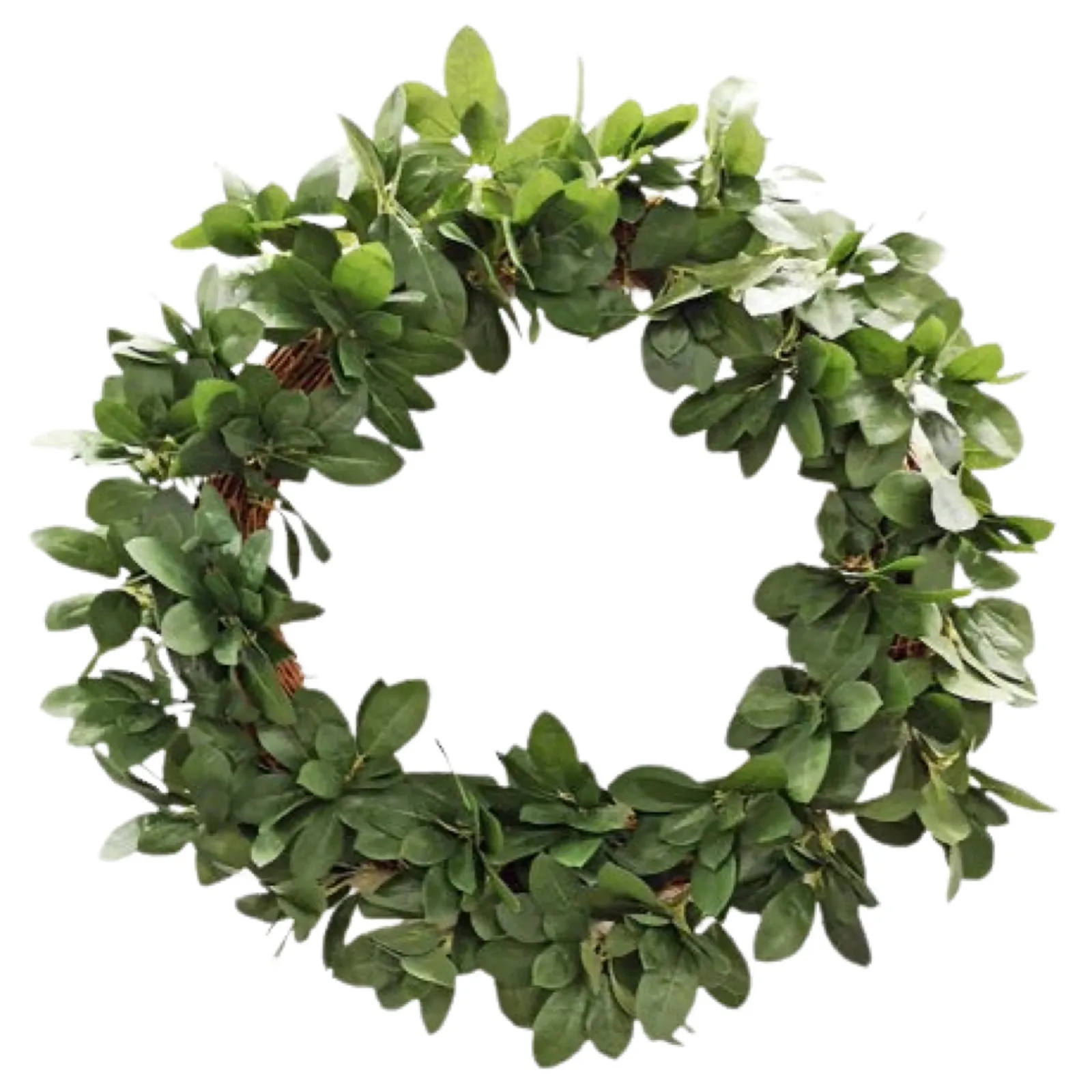 Bay Leaf Wreath