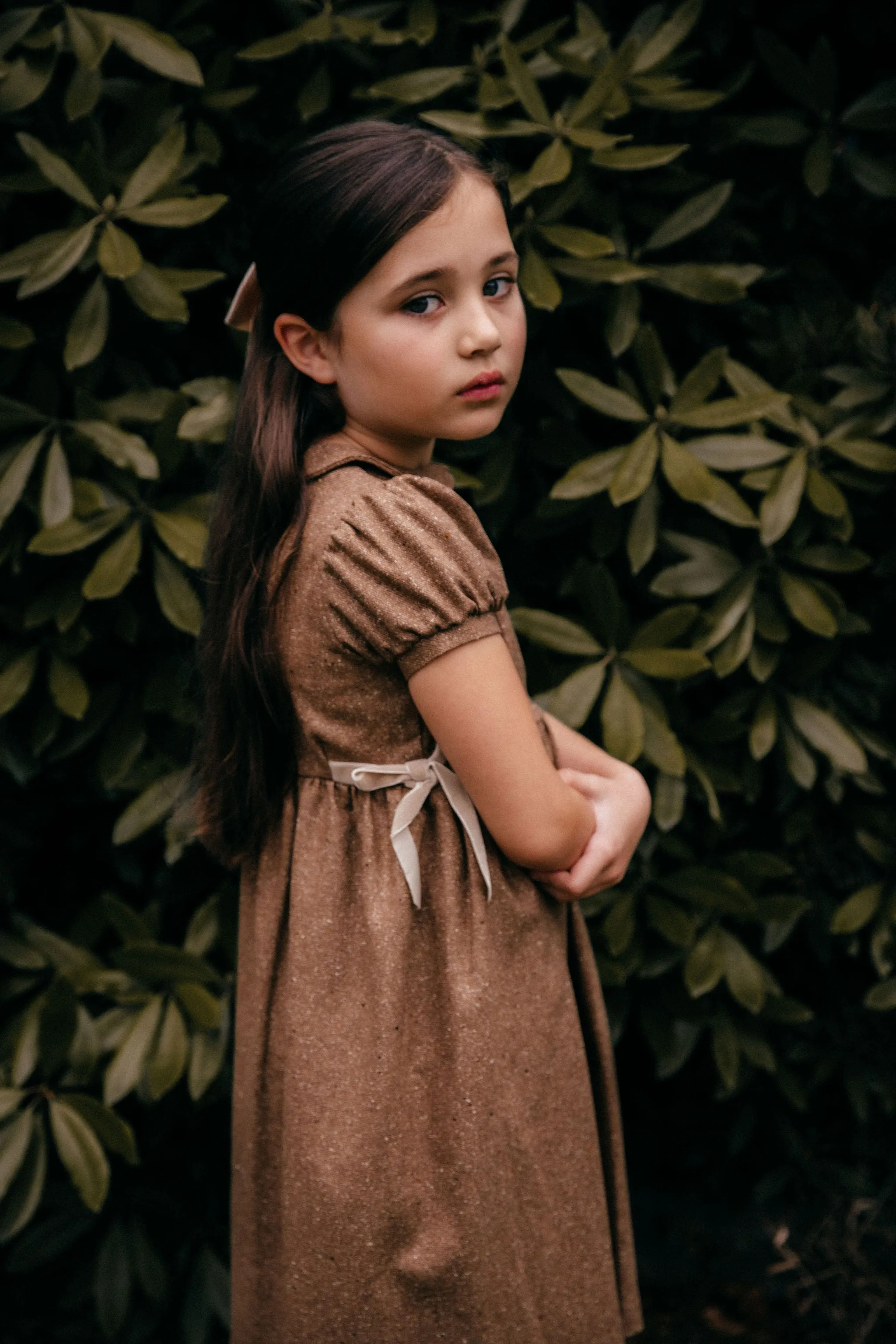 Bow Dress - Brown