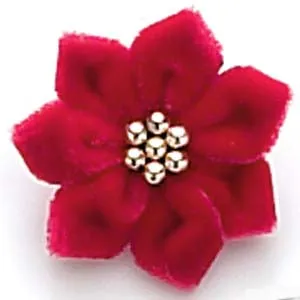 Dog Hair Flower-Poinsettia Flower